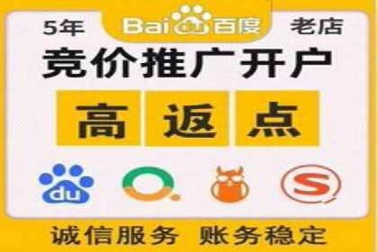 竞价广告赚钱案例：从新手到专家